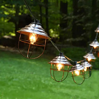 Screw in Clear C9 String Lights, Metal Cage, Black Wire
