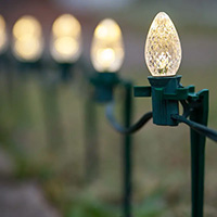 Screw in Warm White C7 LED Pathway Lights, Green Wire
