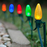 Screw in Multi  C9 LED Pathway Lights, Green Wire