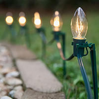 Screw in Clear Transparent C9 Pathway Lights, Green Wire